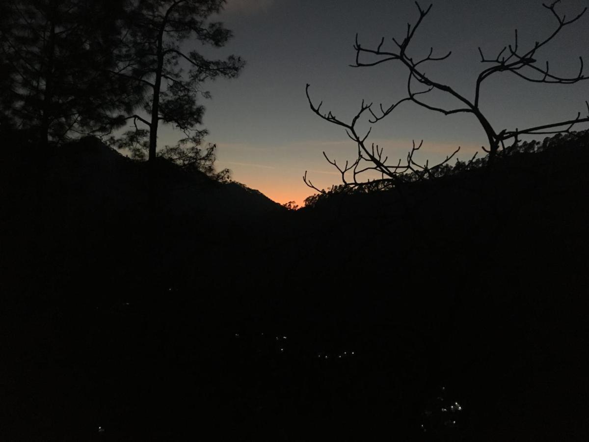 Forest Acres Camps Mukteshwar Kültér fotó