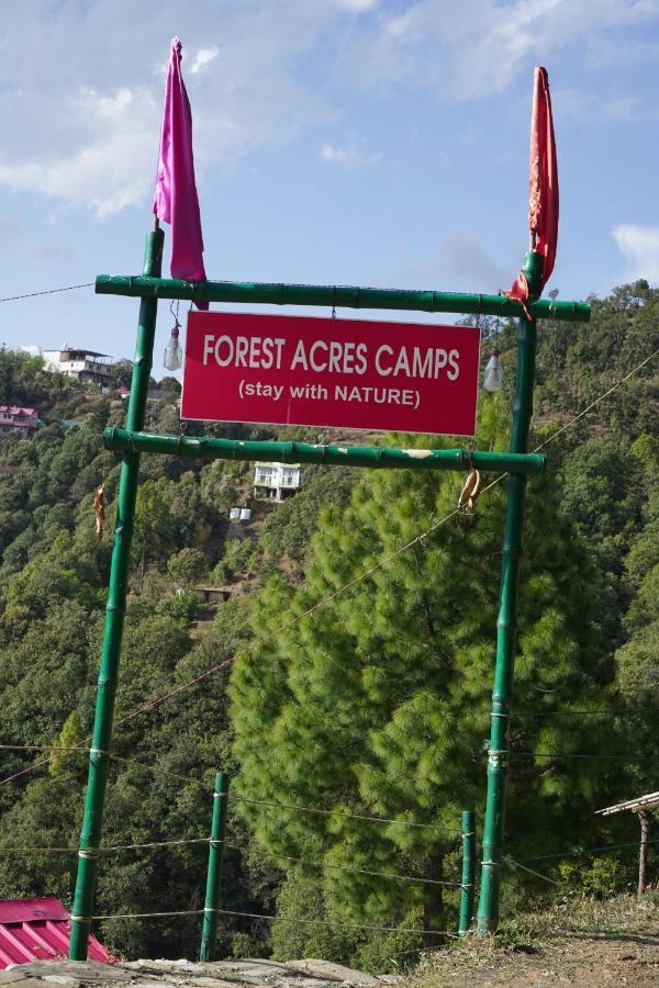 Forest Acres Camps Mukteshwar Kültér fotó